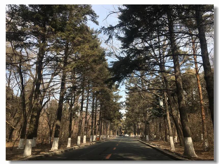 打卡人世间拍摄地,长春人世间取景地宾馆