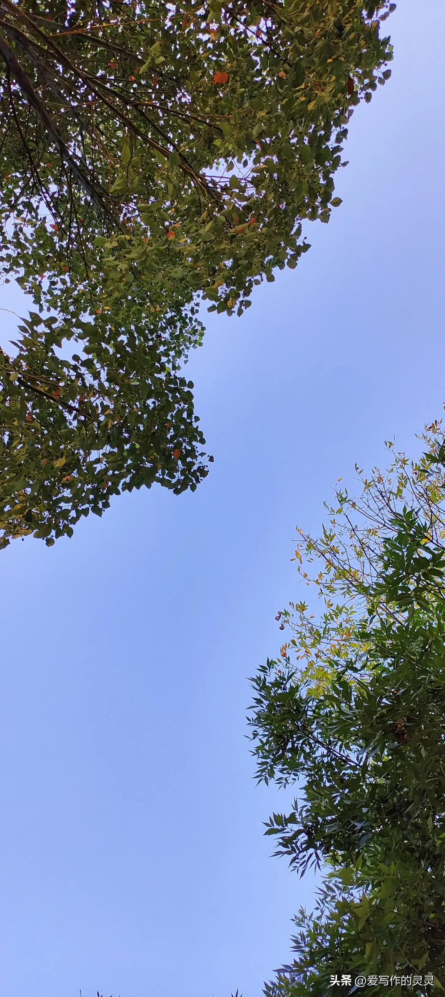 60岁妈妈的日常生活,60年代老妈日常