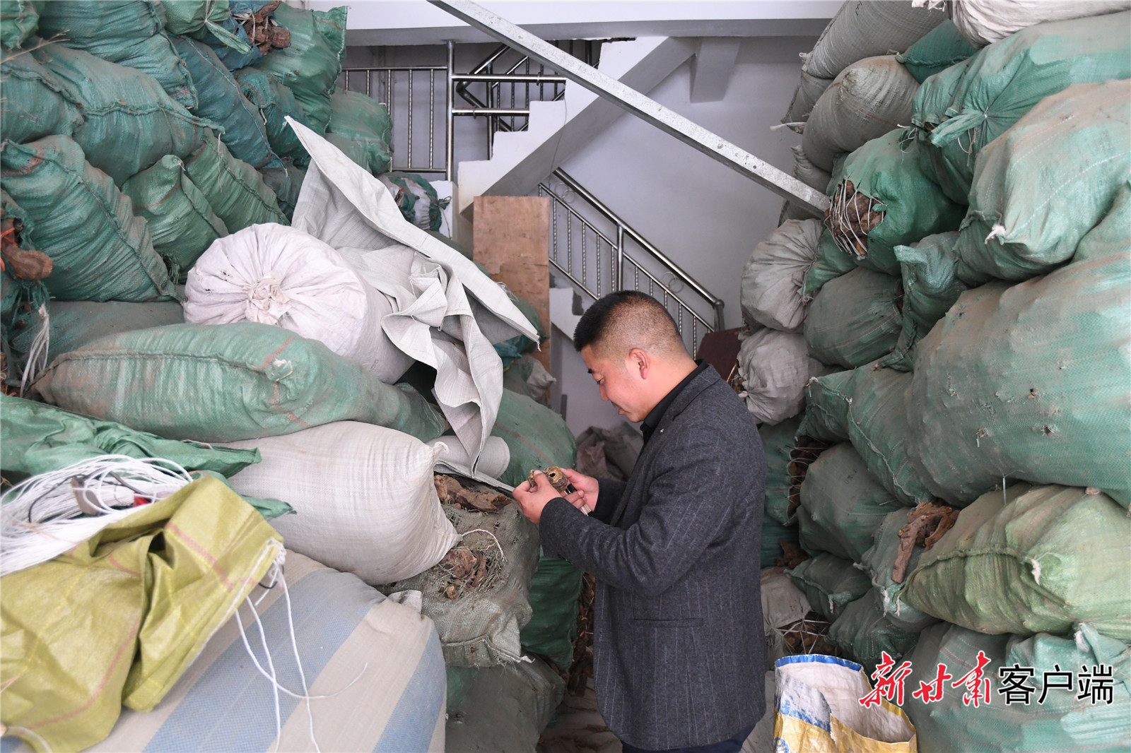 新甘肃特别策划|宕昌：再造安居乐业新生活——生态及地质灾害避险搬迁系列报道（一）