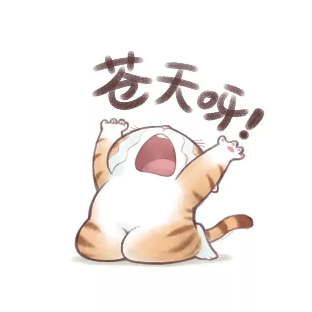 我妈妈苦了一辈子，这份家私，全给小保姆置下了！