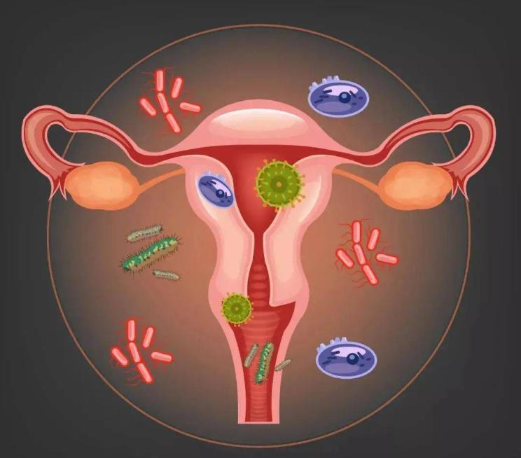 为何很多男人“热衷”*生活性**？无非是这4个原因，女性也无需害怕