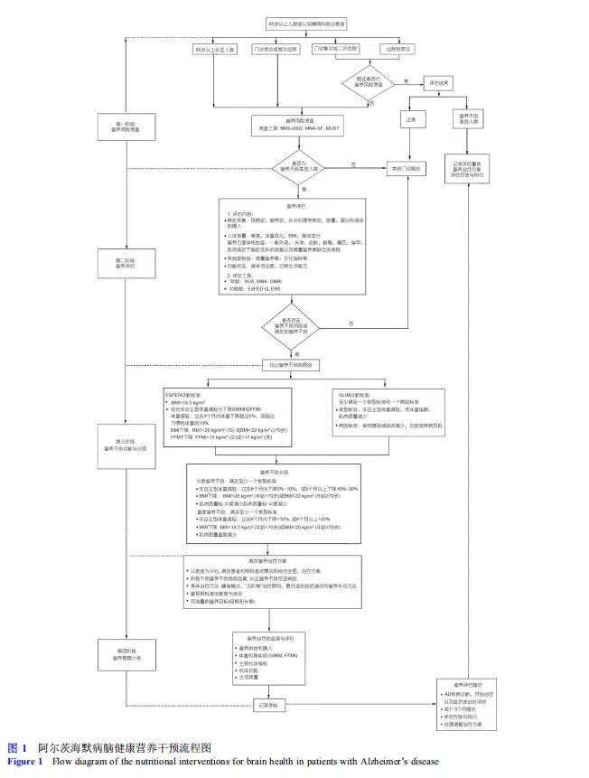 阿尔茨海默症需要补充哪些营养,阿尔茨海默病吃脑活素可以吗