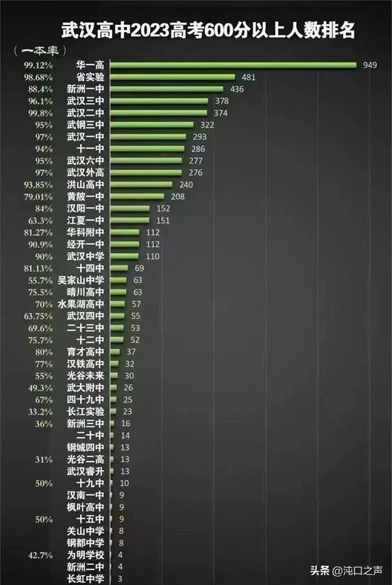 沌口有几所公立普高,沌口高中