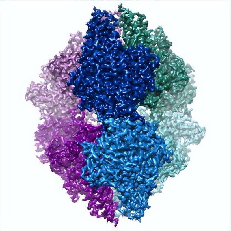 健身增肌的原理是什么,健身增肌原理动作讲解