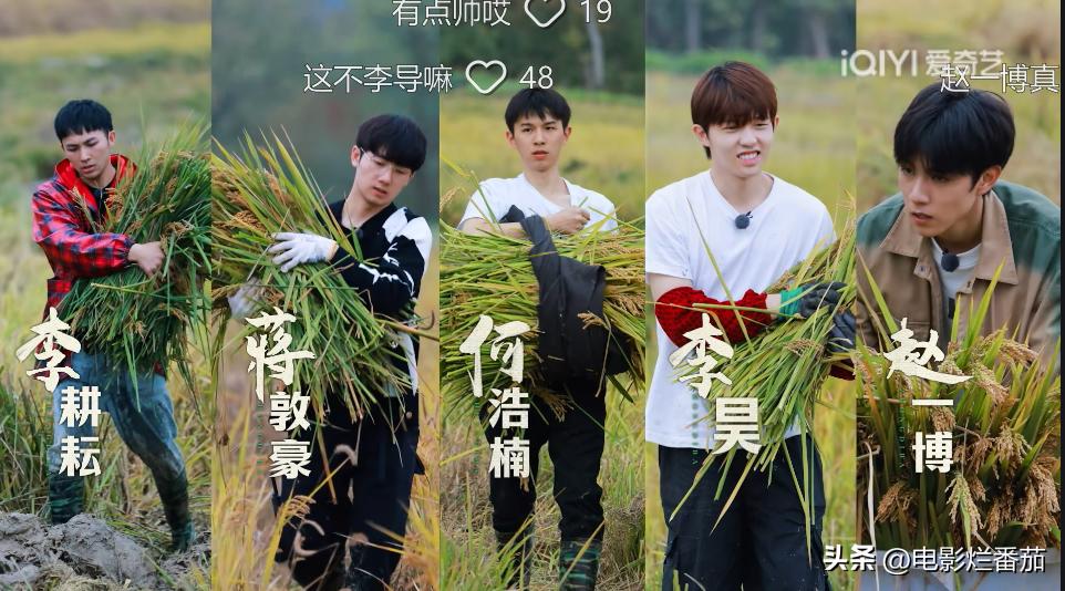 从豆瓣8.4到9.0分，这群认真种地的少年们，值得被所有人看见