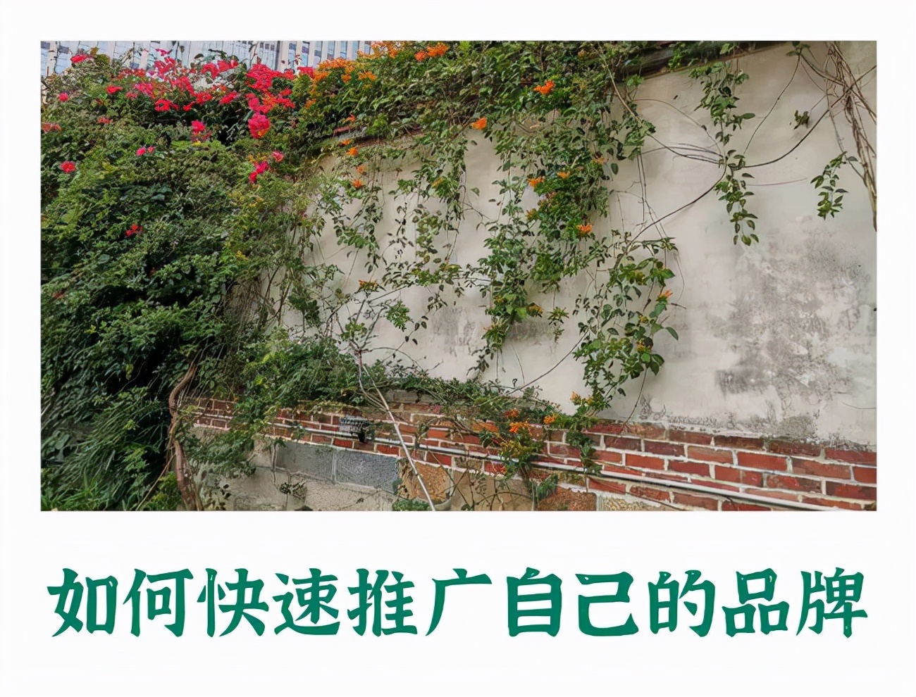 蚂蚁全媒体总编刘鑫炜,内容营销专家刘鑫炜