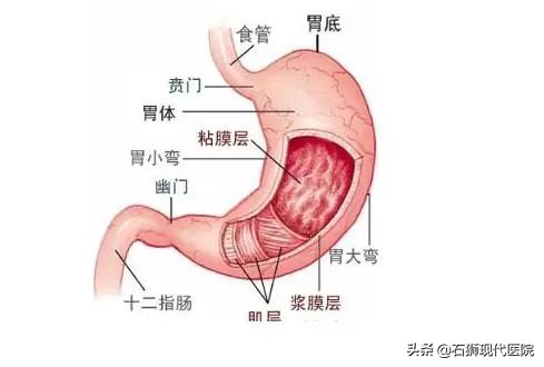做了胃镜是不是就不用担心了,做胃镜的常识有哪些
