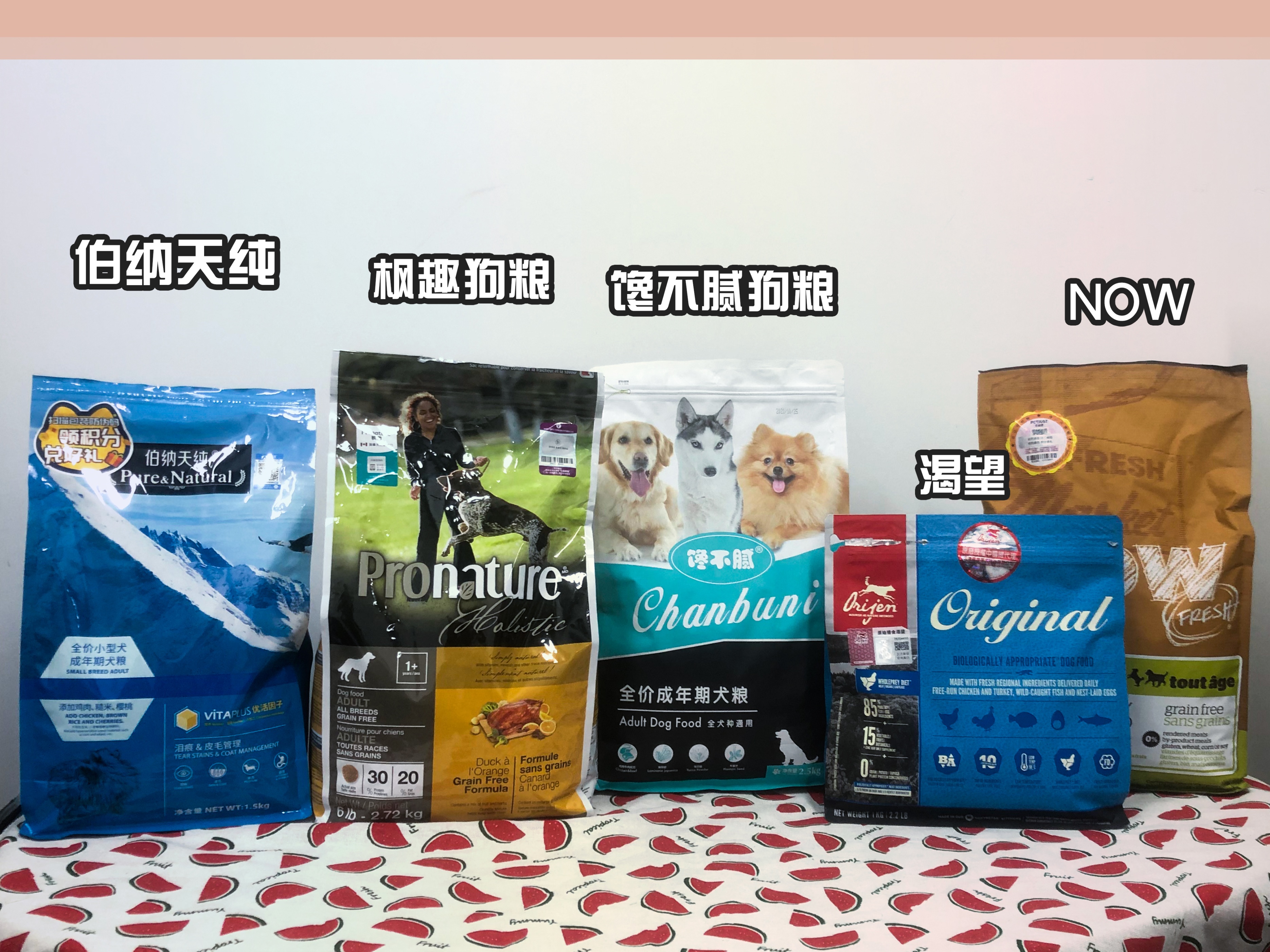 告诉狗狗秘密,告诉你一个秘密养猫就要养暹罗猫