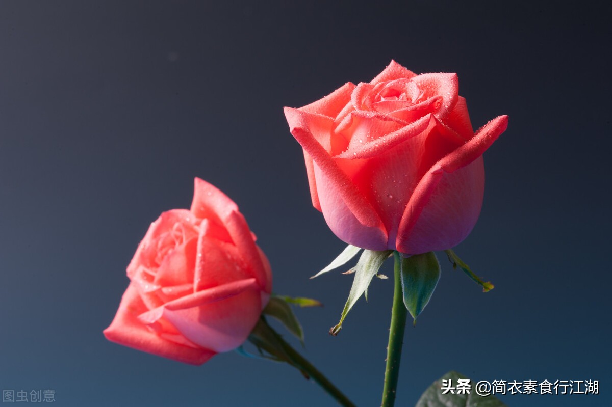 她做保姆这些年之豪门生活全集,她做保姆的这些年豪门生活之八