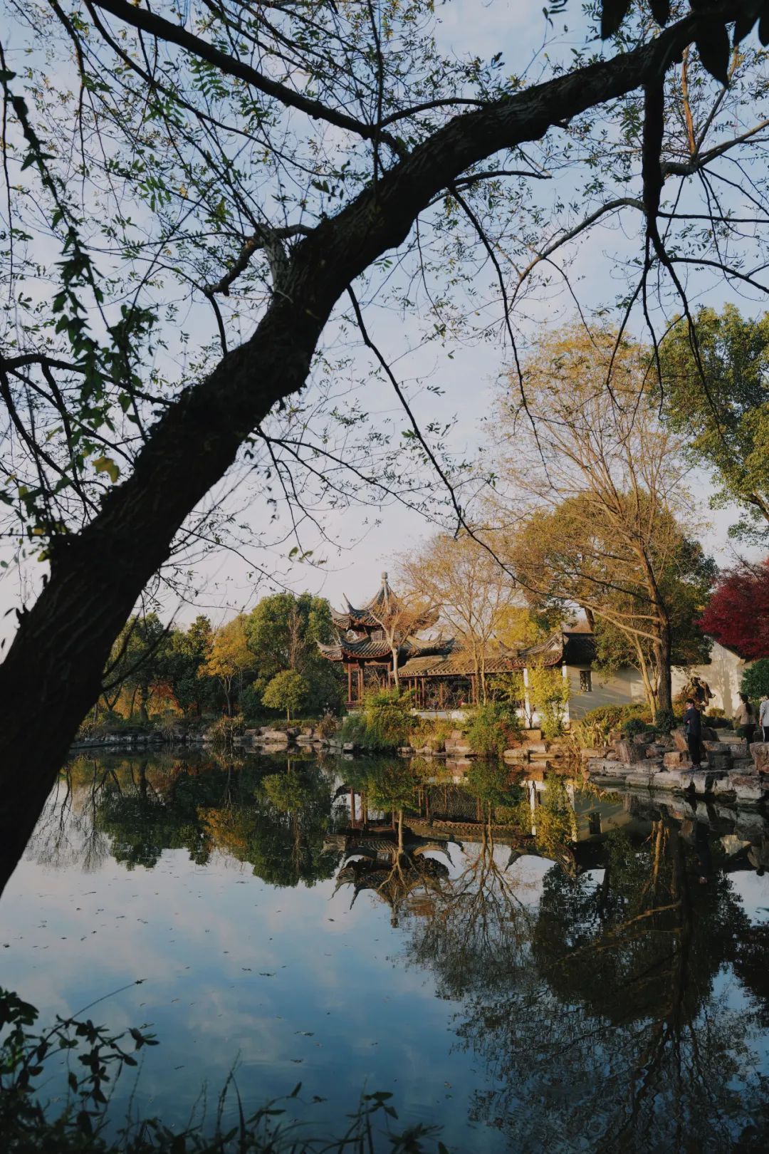 春天的潺潺溪水,春天的顶流