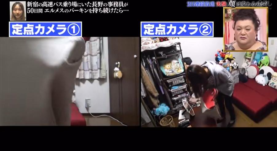 背铂金包,日本女生背帆布包