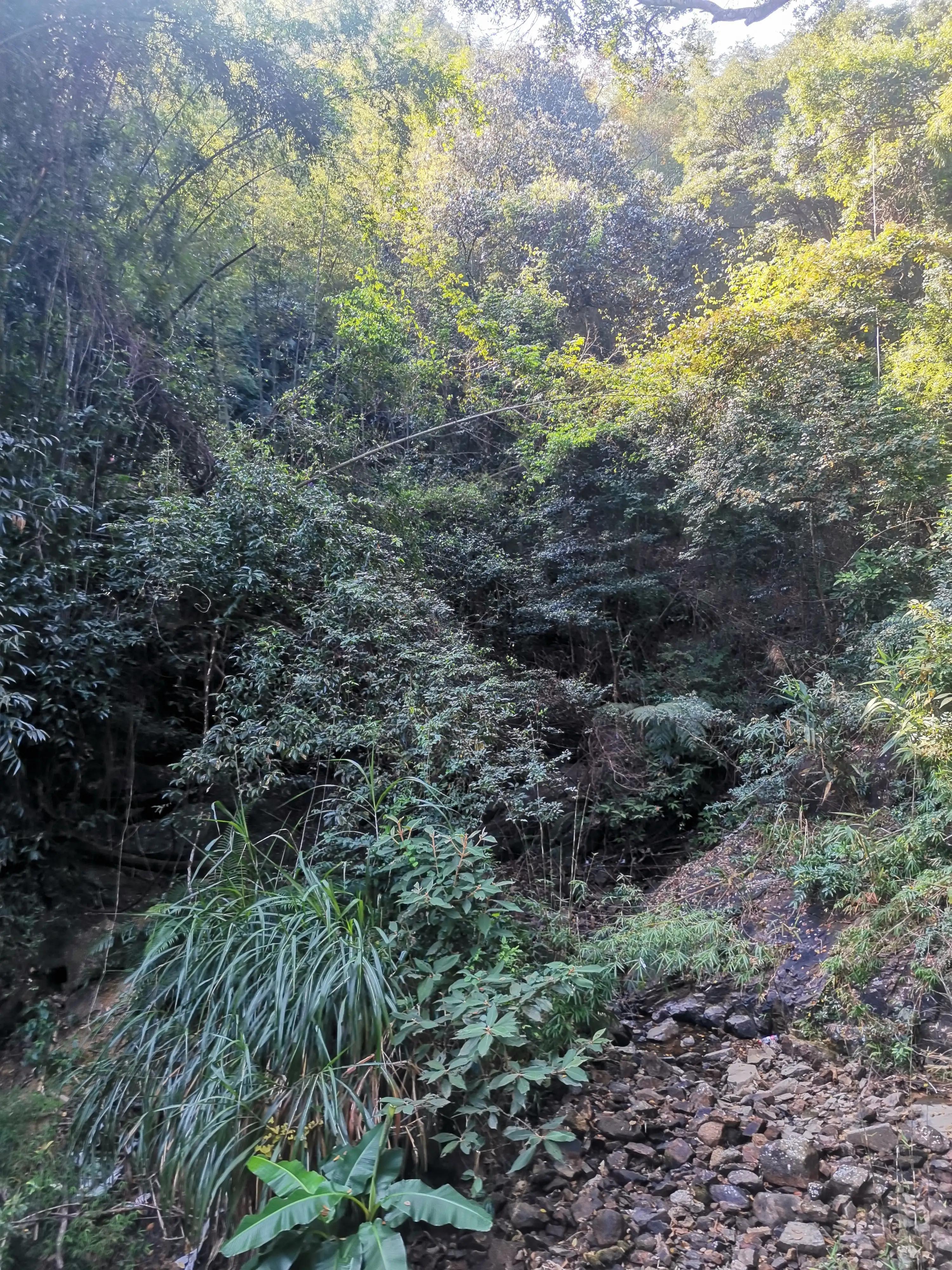 南昆山温泉民宿,南昆山国家森林公园