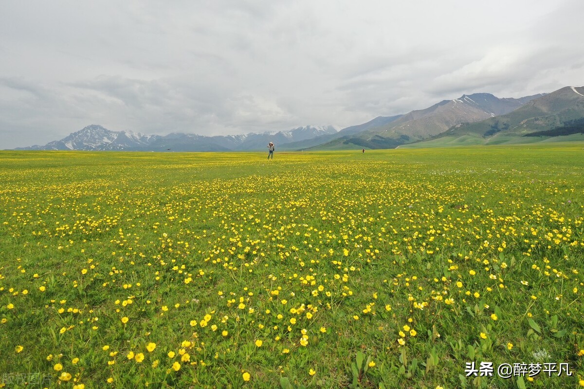 赛里木湖疆内户籍免费吗,赛里木湖疆内旅游团