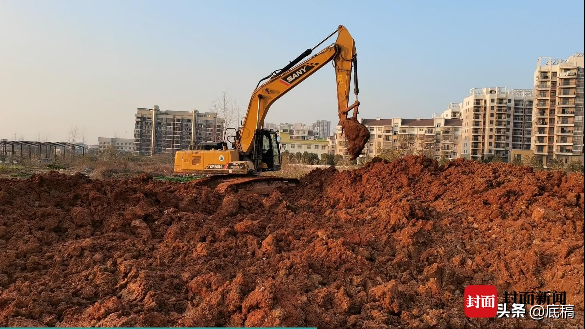 夫妻捕鱼失踪被击毙,夫妻深夜捕鱼被查