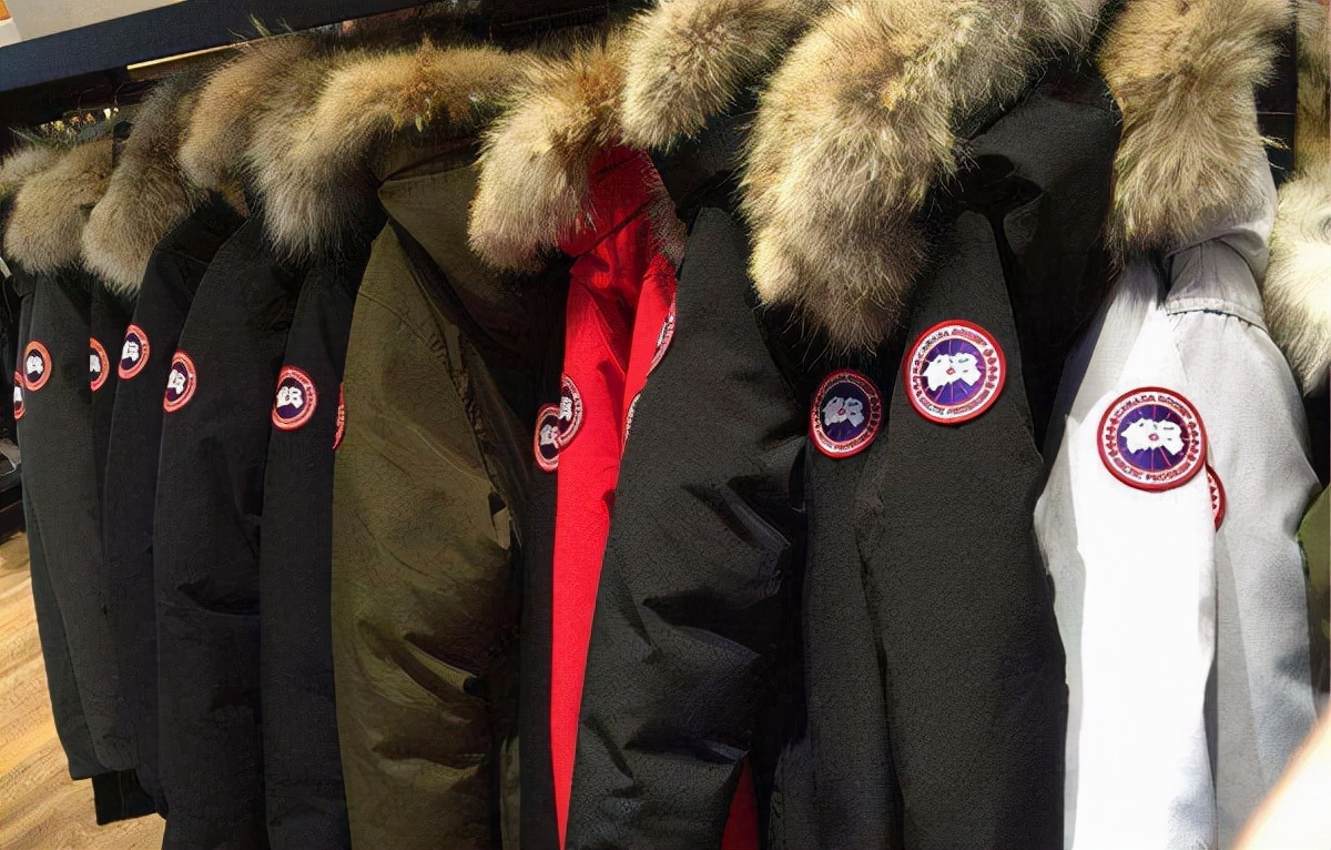 加拿大鹅如今门店最新现状,加拿大鹅在中国的现状