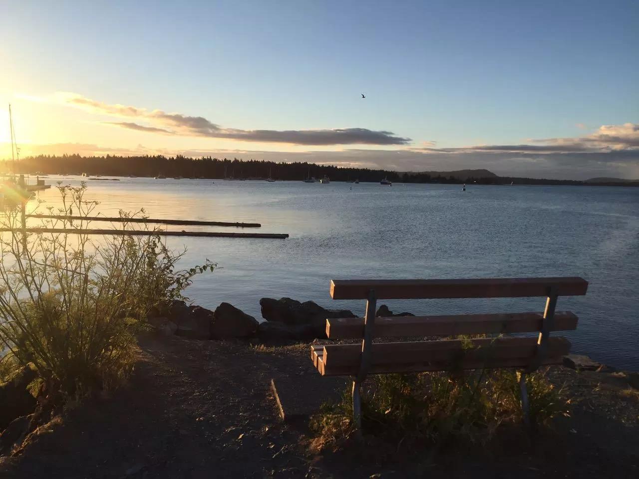 青岛如何带上猫猫去加拿大多伦多,钱猫猫加拿大之旅