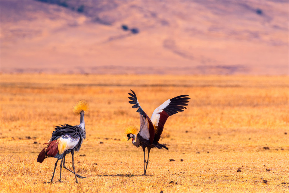 工作与上司发生矛盾怎么处理,当你和上司发生冲突该如何处理