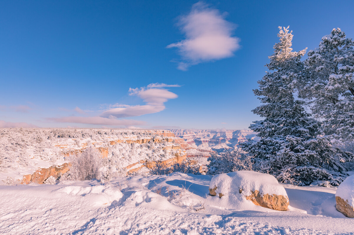 老中医开治前列腺炎药方,喝哪味中药治前列腺炎效果最好