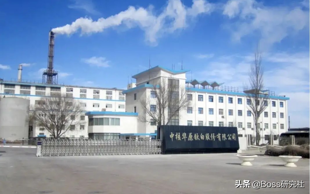 广东揭阳90后首富王泽龙，19岁找父亲借14亿，如今身价115亿