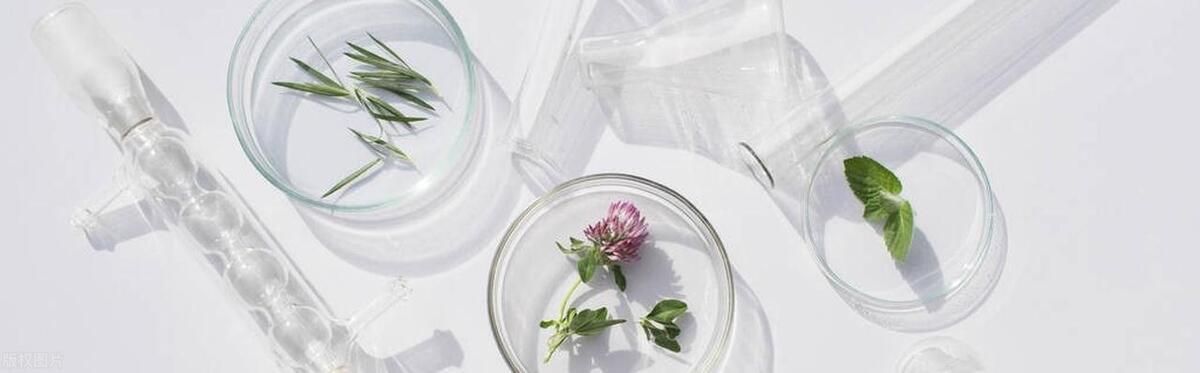 大学生物医药专业排名,实用医学生物技术专业排名