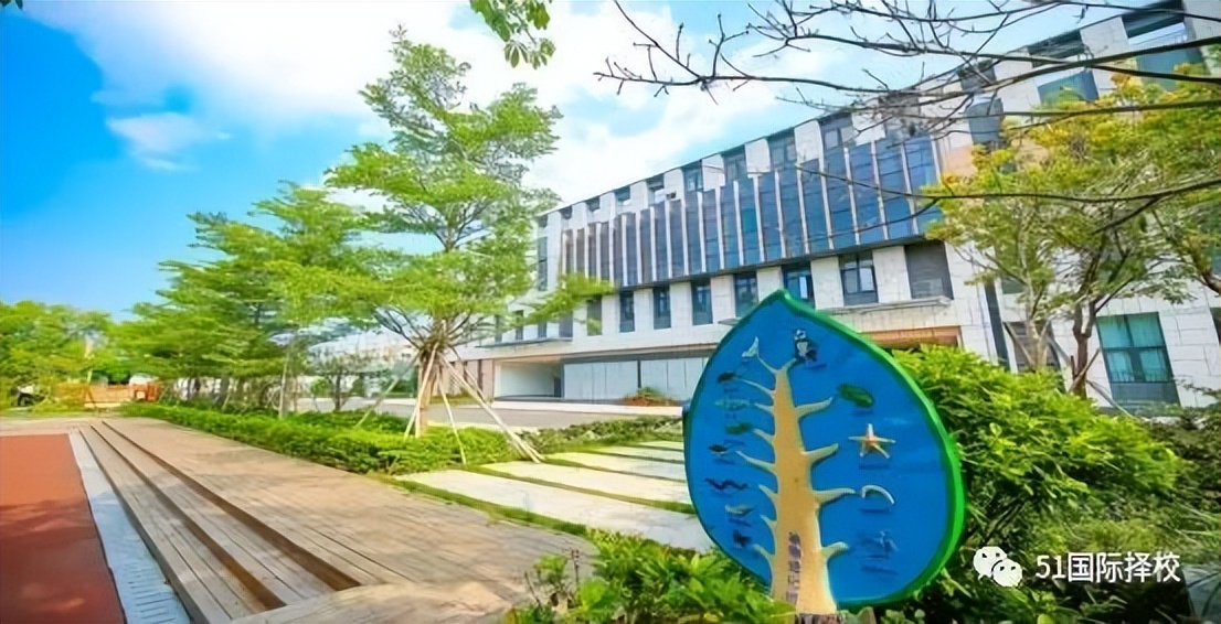 广州国际学校干货,干货分享国际学校报名条件