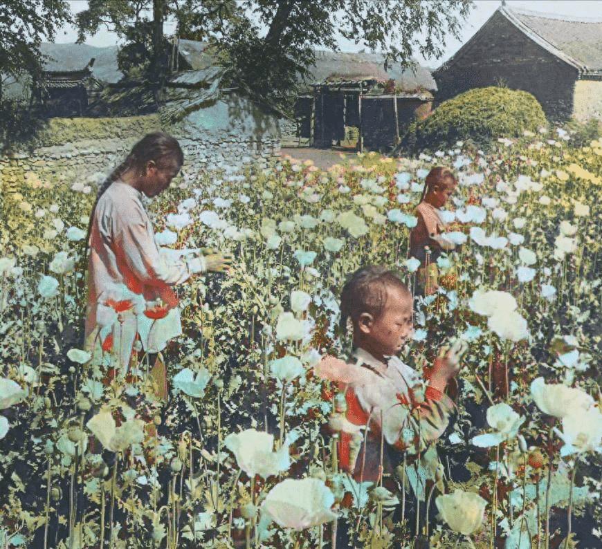 日寇侵入永州*行暴**实录，2000余妇女被奸淫，令人发指，罄竹难书