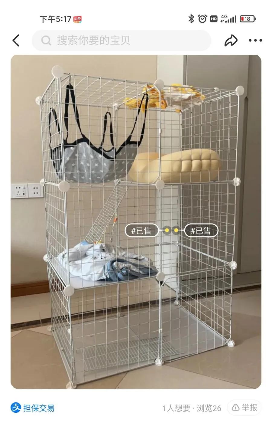 流浪猫受伤怎么能抓到,救助流浪猫要掌握正确方法