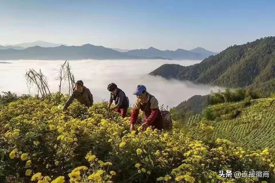 中国银行普惠金融业务经验分享,人民银行谋划普惠金融高质量发展