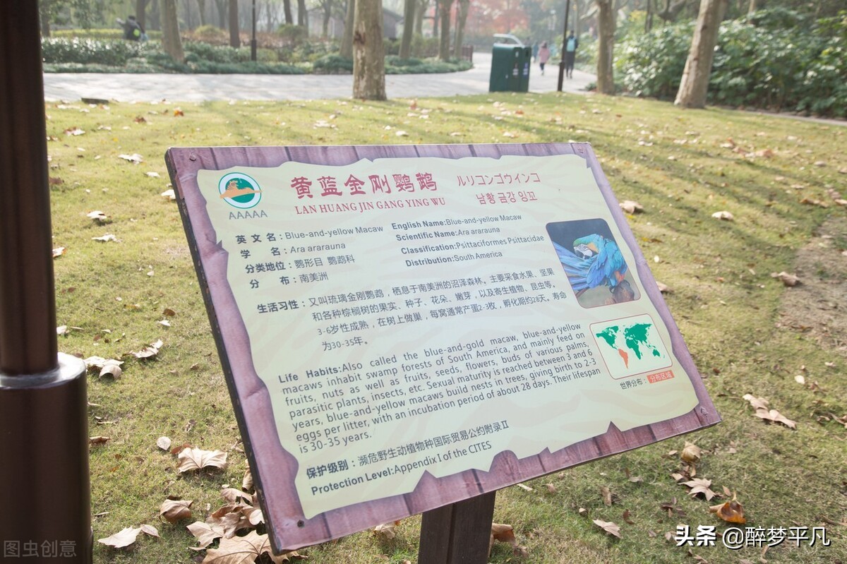 上海野生动物园70岁老人免票吗,上海野生动物园门票预订app