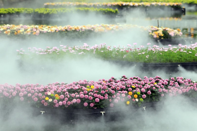深圳旅游最佳观鸟时间,深圳春季海边旅游攻略最新