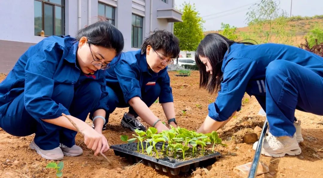神木市主题教育重点,神木市主题教育