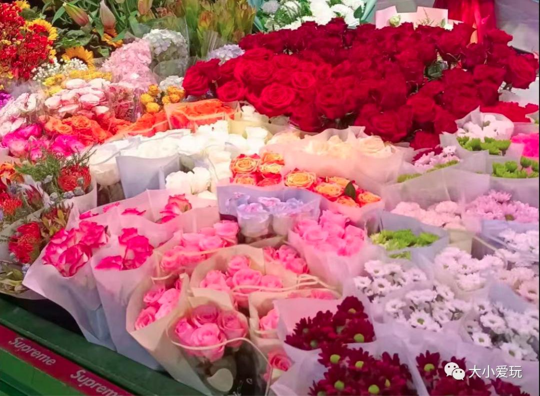 北京最美的花鸟市场,北京值得逛的花鸟市场