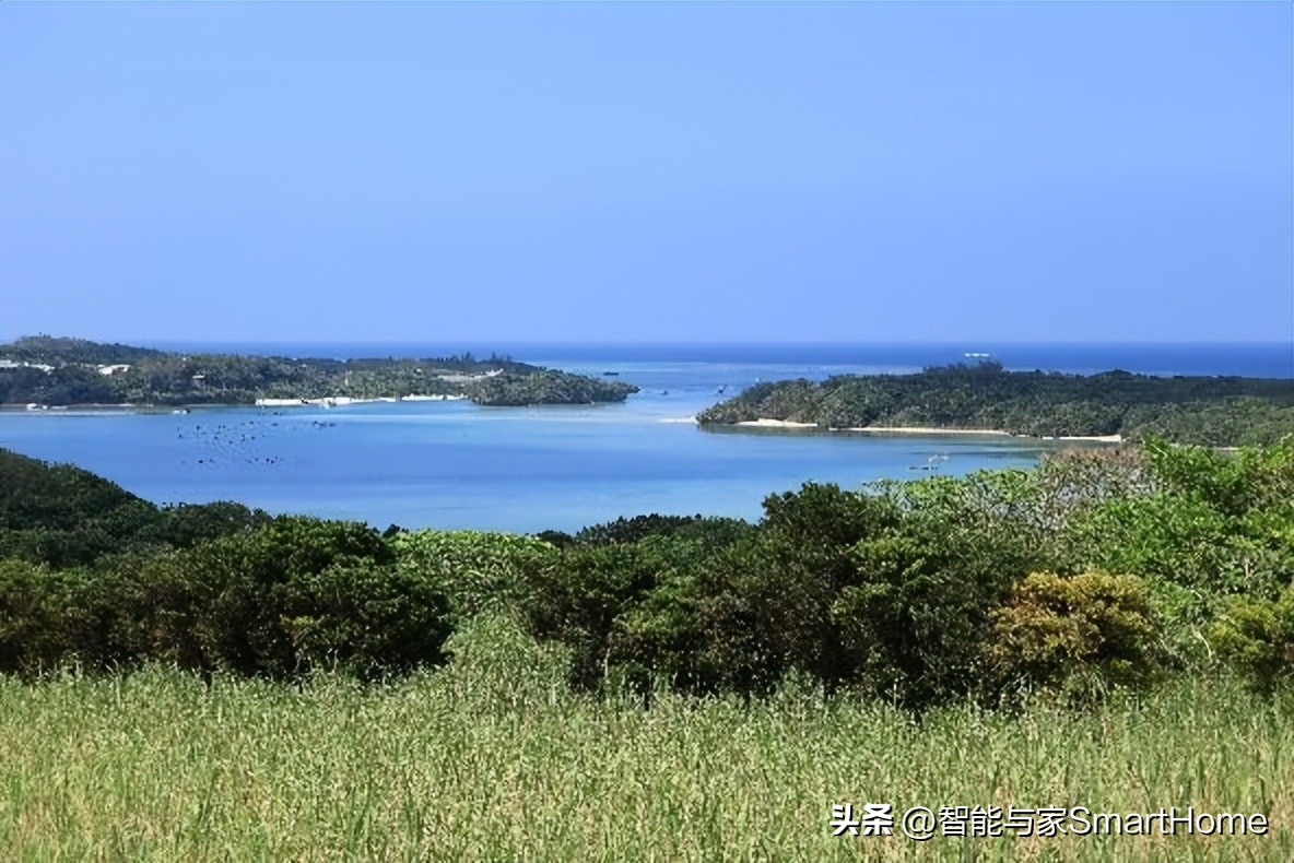 佳能性价比最高的专业全画幅相机,佳能旗舰全画幅相机推荐