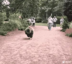 电脑cpu温度高的图片,电脑cpu温度对照表