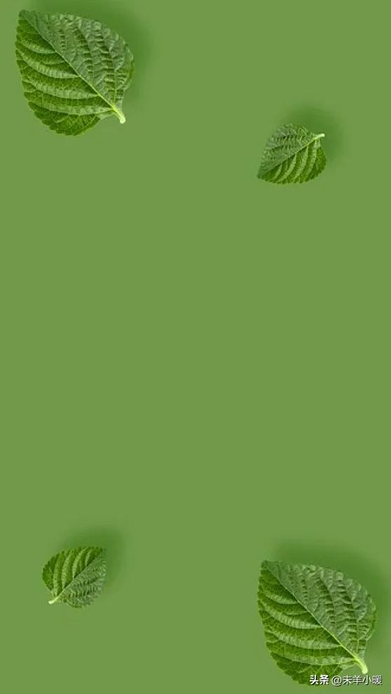 最美的手机壁纸大全,养眼养心的壁纸