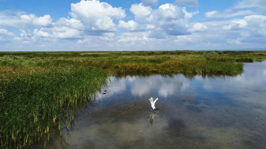 鍐呰挋鍙ゅ宸磋兒椋庢牸琛ｆ湇,澶氬反瀹夌┛鎼唴钂欏彜