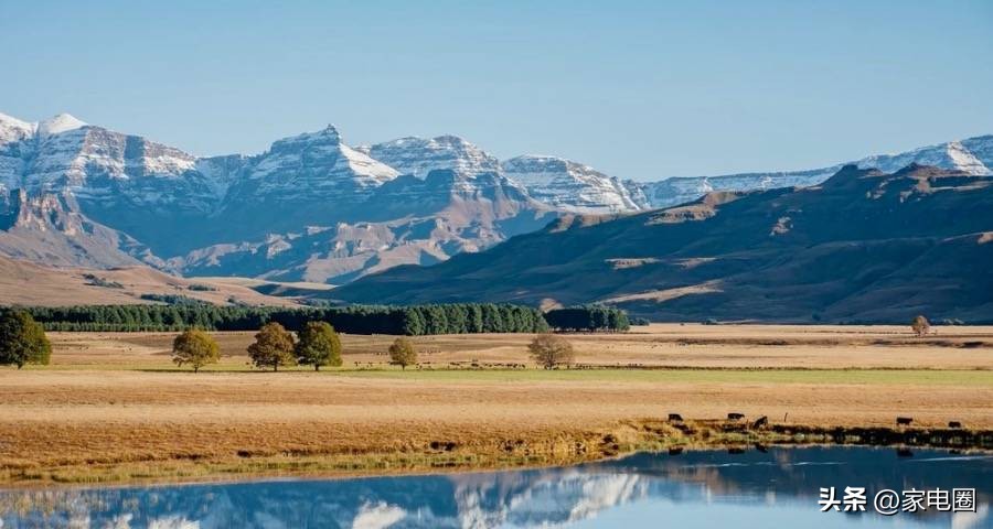 家电焕新季海尔,家电开年大促