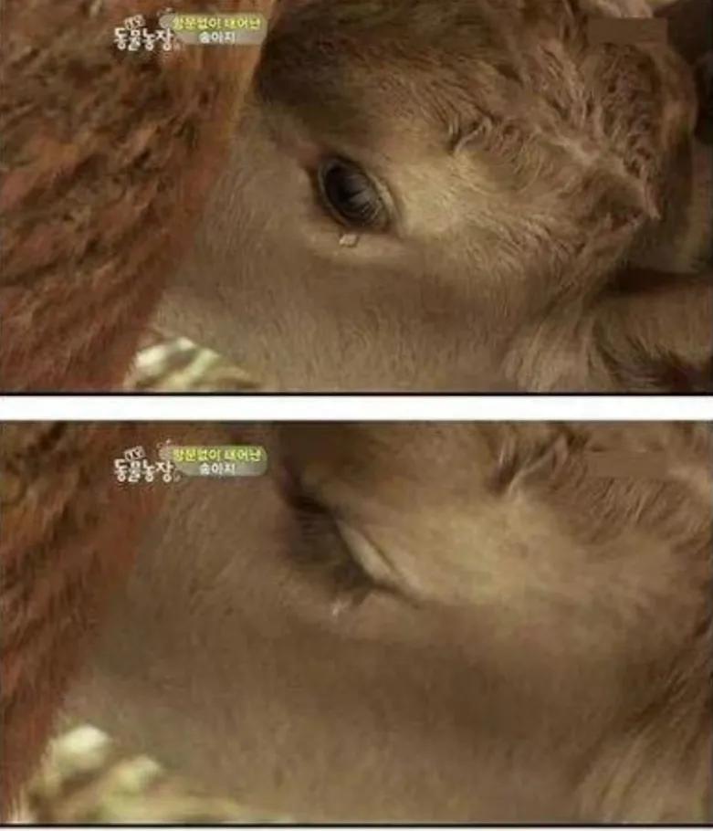 出生时没有肛门，有人却说要养他一辈子