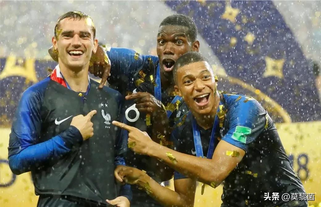 法国和阿根廷夺冠商业价值,法国和阿根廷谁夺冠了