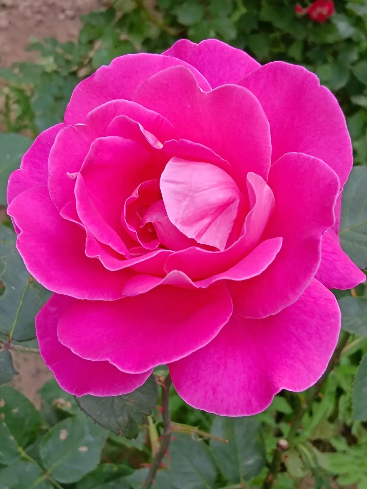 对看不惯的人与事如何调心态,对看不惯你的人怎么办