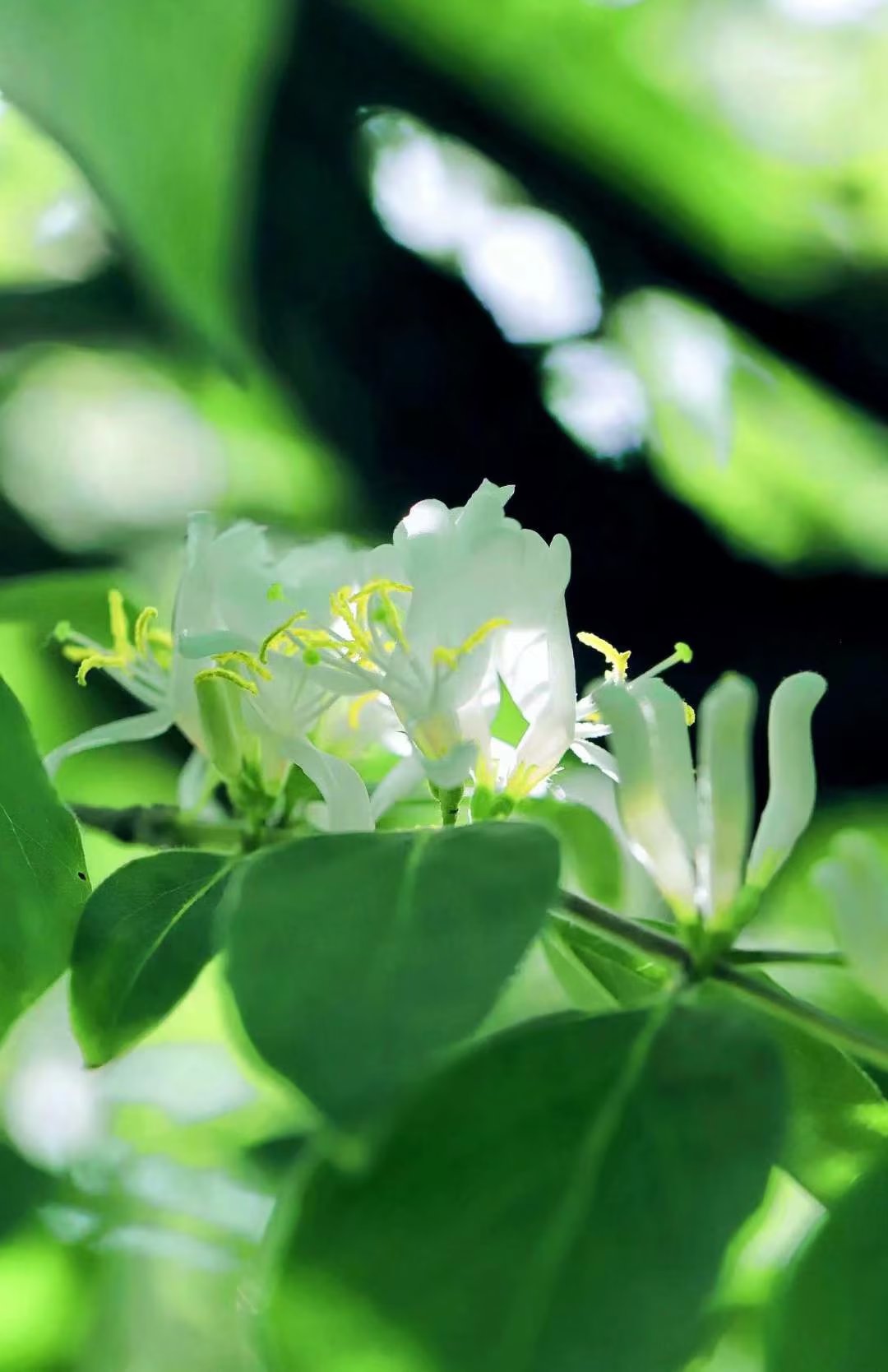 淇濇寔缇庡ソ蹇冩儏杩庢帴浜旀湀,浜旀湀瀵硅嚜宸辩殑缇庡ソ鏈熻