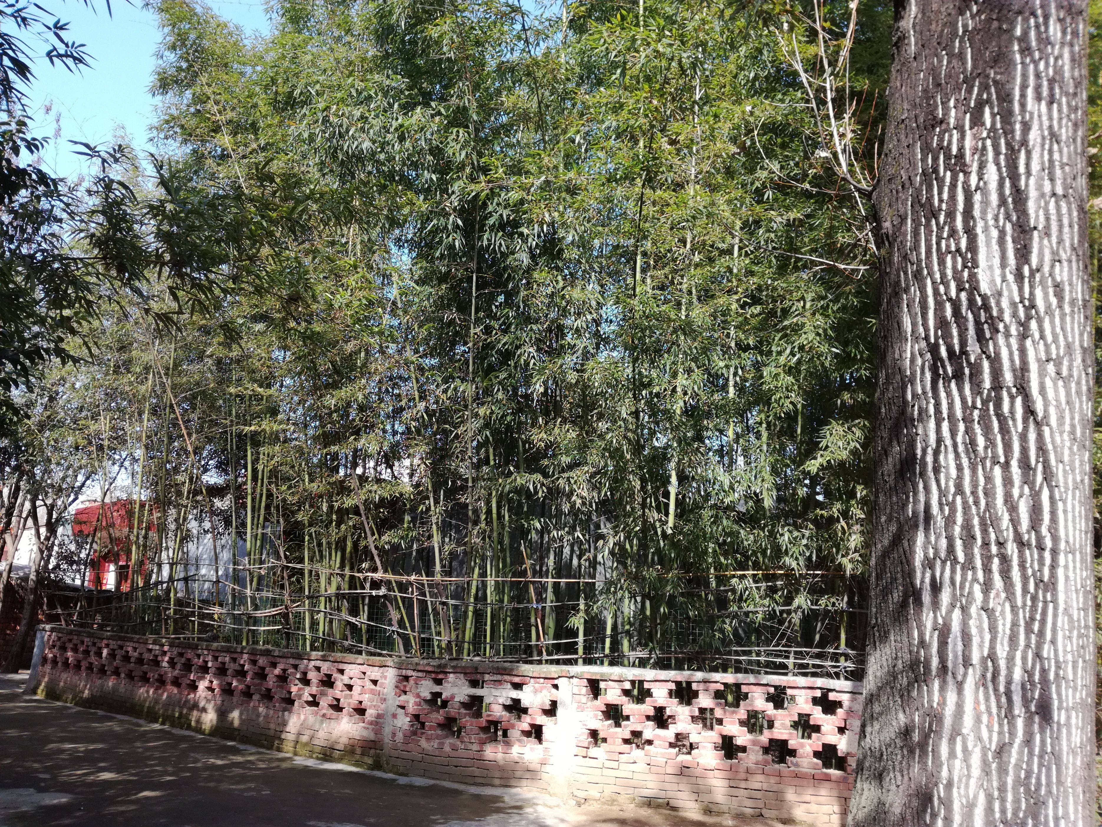 绿色城堡,绿色的城堡壁纸