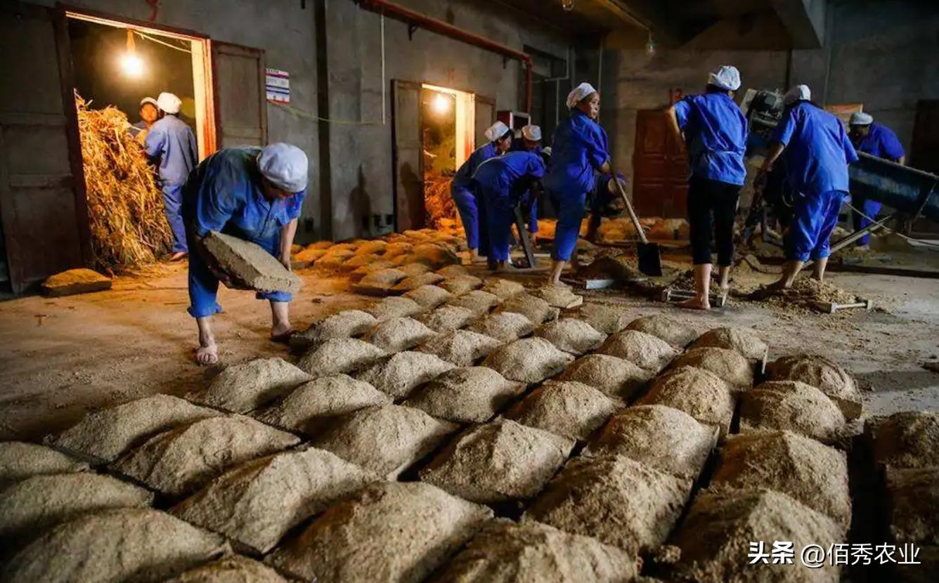 酿酒利润有多少,自己酿酒一百斤酒能赚多少钱