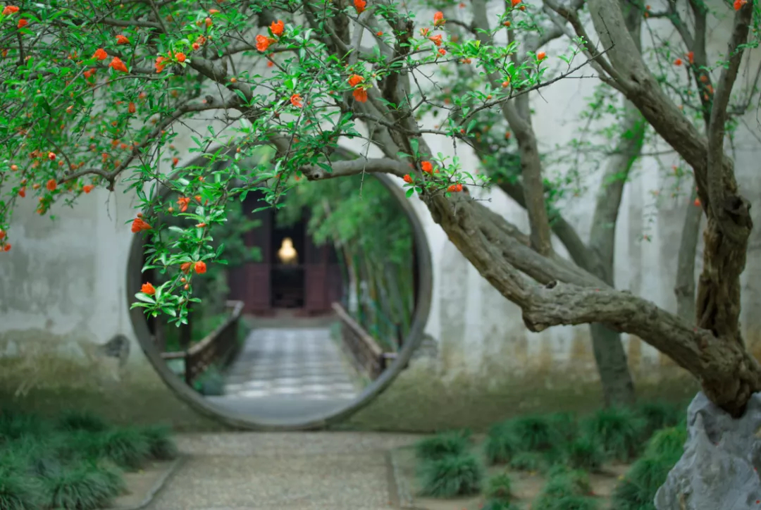 花开千叶红，无需藉春风——五月榴花，浓情似火燃，丹若照长安