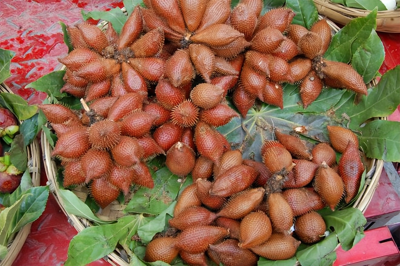 2024农村投资什么项目最有前景,2023年农村项目国家如何扶持呢