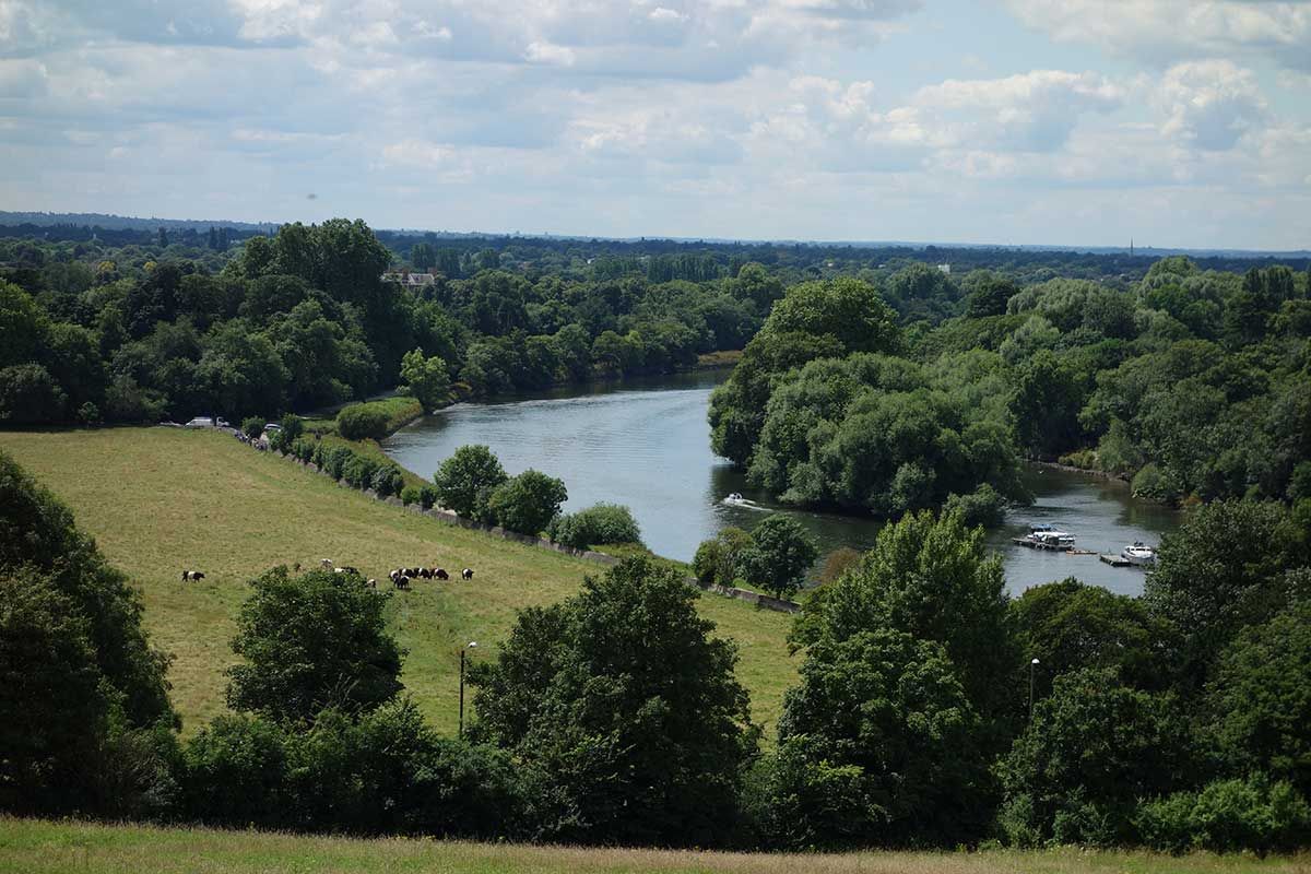 一年不一定出一套！无数人在伦敦这些地方排队等房，一房难求