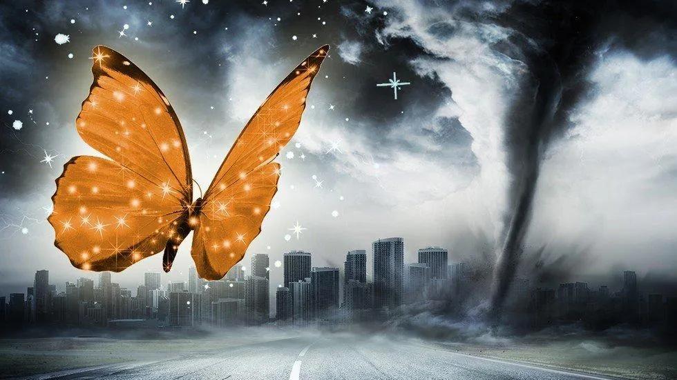 这个小区发生“蝴蝶效应”