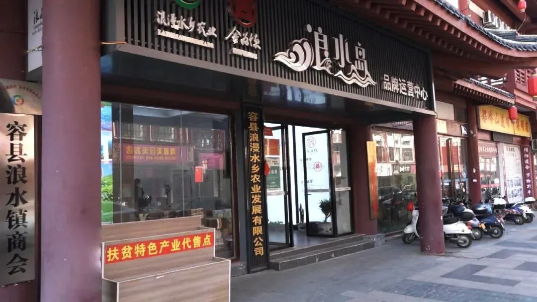 菌菇种植产业带动增收致富,菌菇种植助农增收