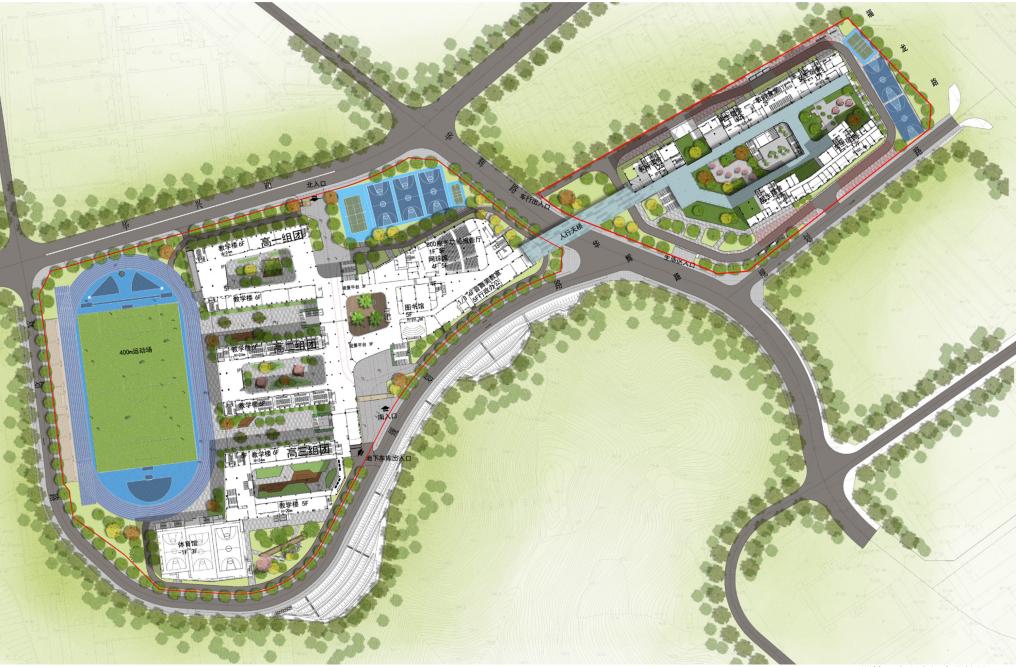 打造学生健康快乐成长的“林中学堂”，这所深圳高中做到了！