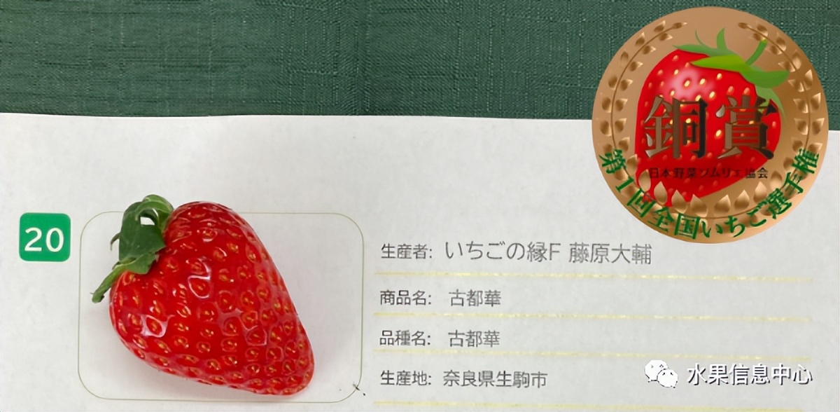 日本草莓评选大赛,排名第一的草莓品种是什么?